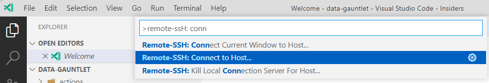 VS Code command prompt with text.