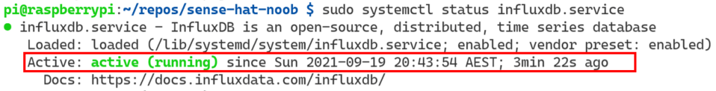 bash terminal InfluxDB service status check